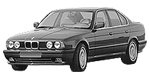 BMW E34 P2520 Fault Code